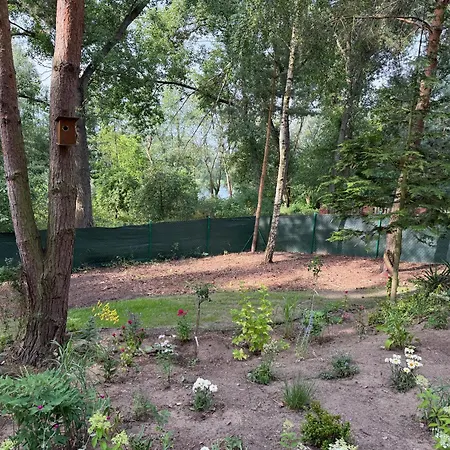 Przy Brzegu - W Pierwszej Lini Brzegowej Jeziora Swietne